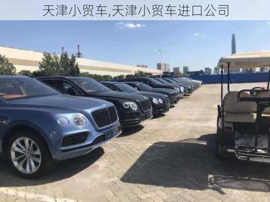 天津小贸车,天津小贸车进口公司