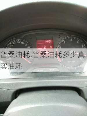 普桑油耗,普桑油耗多少真实油耗