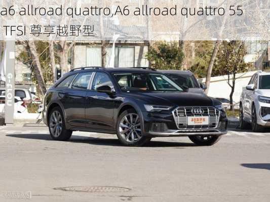 a6 allroad quattro,A6 allroad quattro 55 TFSI 尊享越野型