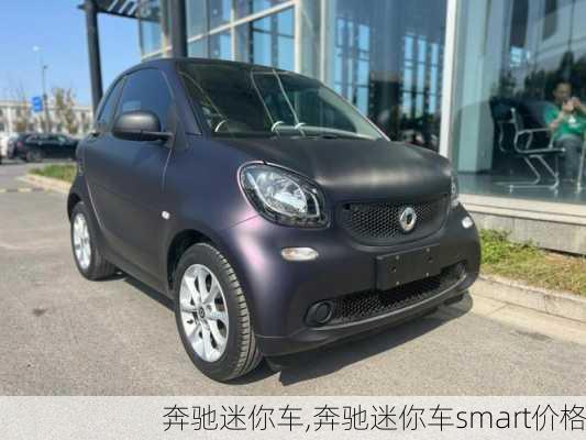 奔驰迷你车,奔驰迷你车smart价格