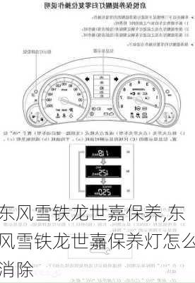 东风雪铁龙世嘉保养,东风雪铁龙世嘉保养灯怎么消除