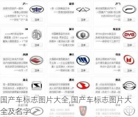 国产车标志图片大全,国产车标志图片大全及名字