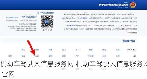 机动车驾驶人信息服务网,机动车驾驶人信息服务网 官网