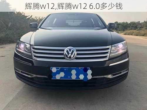 辉腾w12,辉腾w12 6.0多少钱