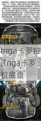 tnga卡罗拉,Tnga卡罗拉底盘