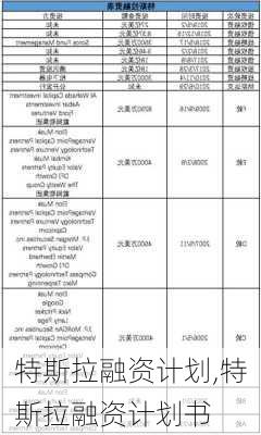 特斯拉融资计划,特斯拉融资计划书