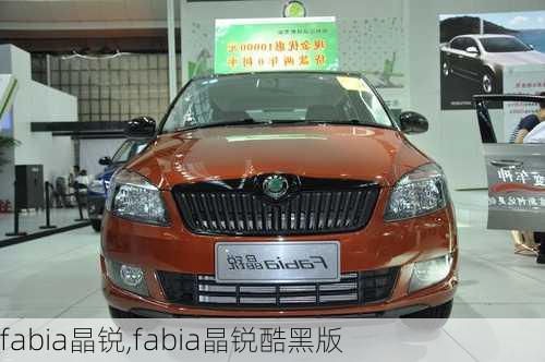 fabia晶锐,fabia晶锐酷黑版