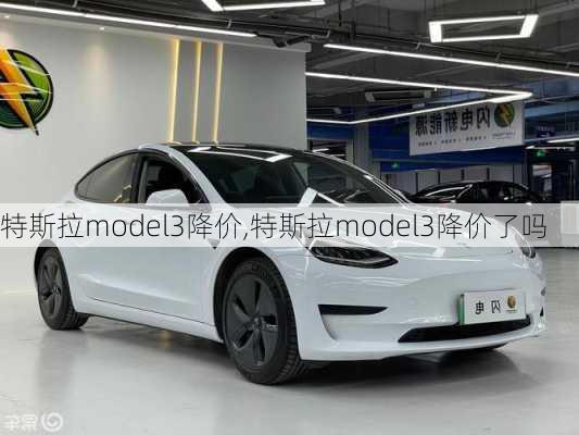 特斯拉model3降价,特斯拉model3降价了吗