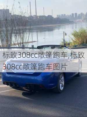 标致308cc敞篷跑车,标致308cc敞篷跑车图片