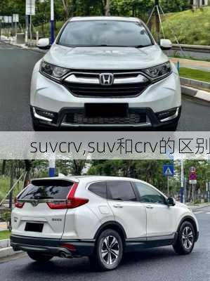 suvcrv,suv和crv的区别