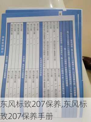 东风标致207保养,东风标致207保养手册