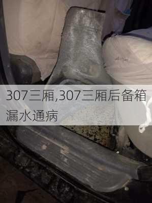 307三厢,307三厢后备箱漏水通病