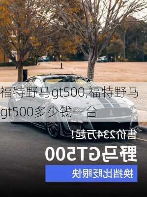 福特野马gt500,福特野马gt500多少钱一台