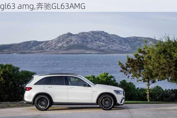 gl63 amg,奔驰GL63AMG