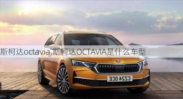 斯柯达octavia,斯柯达OCTAVIA是什么车型