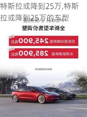 特斯拉或降到25万,特斯拉或降到25万的车型