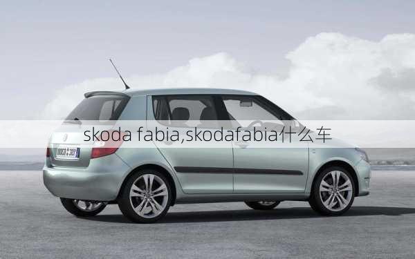 skoda fabia,skodafabia什么车