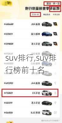 suv排行,suv排行榜前十名