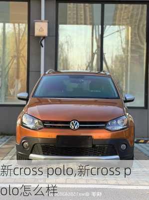 新cross polo,新cross polo怎么样