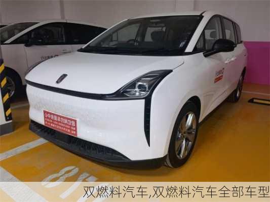 双燃料汽车,双燃料汽车全部车型