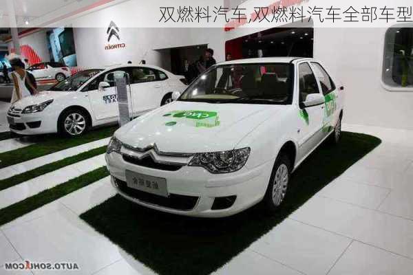 双燃料汽车,双燃料汽车全部车型