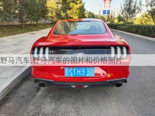 野马汽车,野马汽车的图片和价格图片