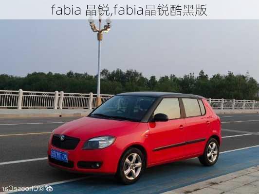 fabia 晶锐,fabia晶锐酷黑版