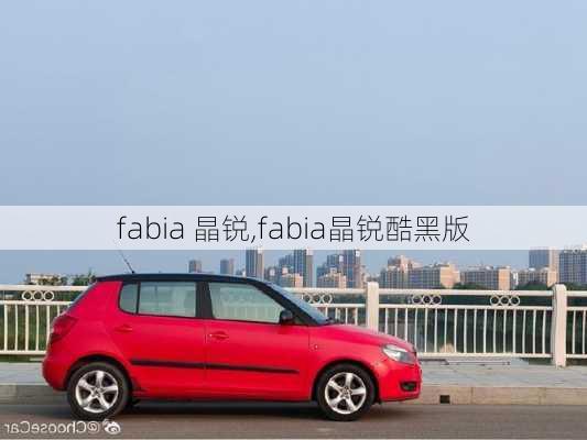 fabia 晶锐,fabia晶锐酷黑版