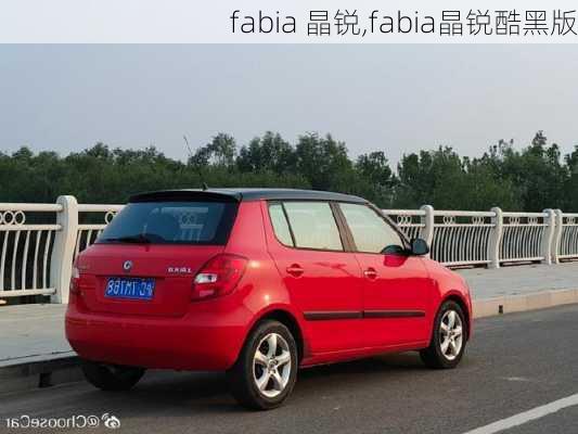 fabia 晶锐,fabia晶锐酷黑版