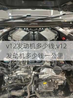 v12发动机多少钱,v12发动机多少钱一公里