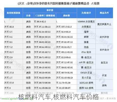 核燃料汽车,核燃料汽车价格