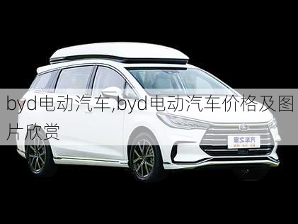 byd电动汽车,byd电动汽车价格及图片欣赏