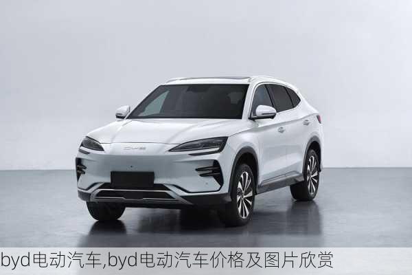 byd电动汽车,byd电动汽车价格及图片欣赏