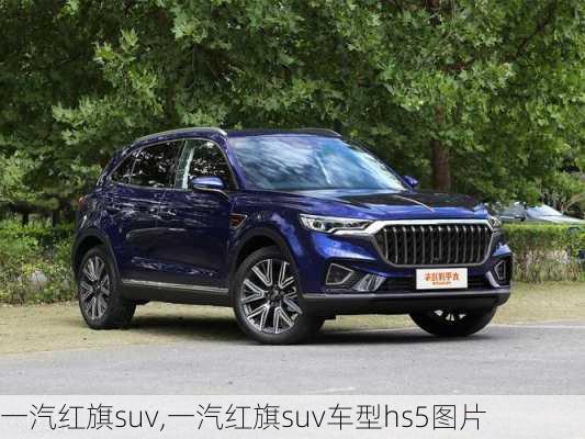 一汽红旗suv,一汽红旗suv车型hs5图片