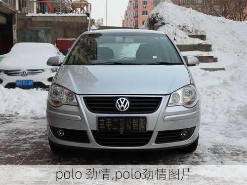 polo 劲情,polo劲情图片