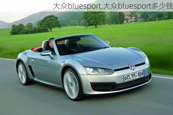 大众bluesport,大众bluesport多少钱