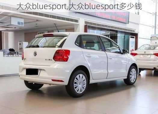 大众bluesport,大众bluesport多少钱