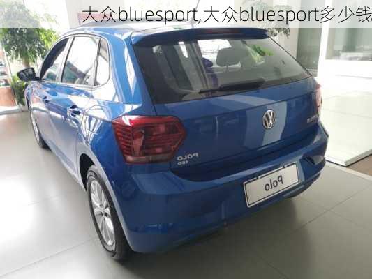 大众bluesport,大众bluesport多少钱