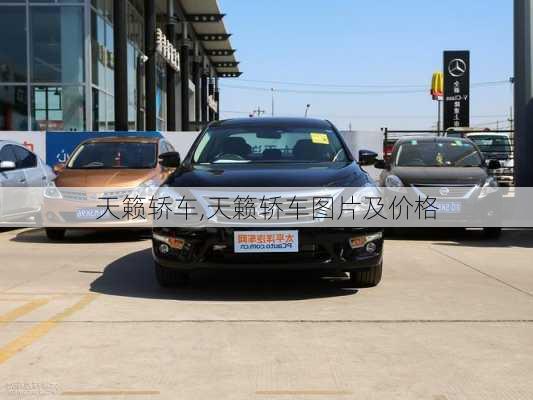 天籁轿车,天籁轿车图片及价格