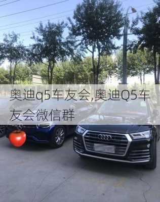 奥迪q5车友会,奥迪Q5车友会微信群