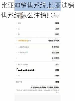 比亚迪销售系统,比亚迪销售系统怎么注销账号