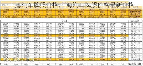 上海汽车牌照价格,上海汽车牌照价格最新价格