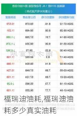 福瑞迪油耗,福瑞迪油耗多少真实油耗