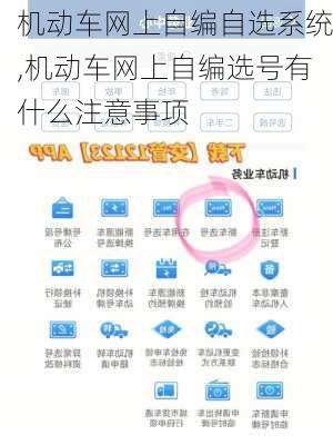 机动车网上自编自选系统,机动车网上自编选号有什么注意事项