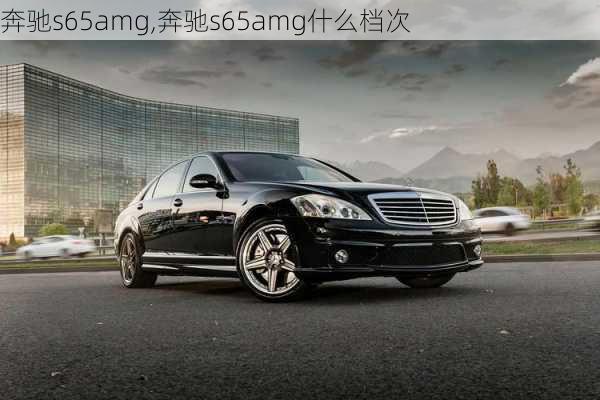 奔驰s65amg,奔驰s65amg什么档次