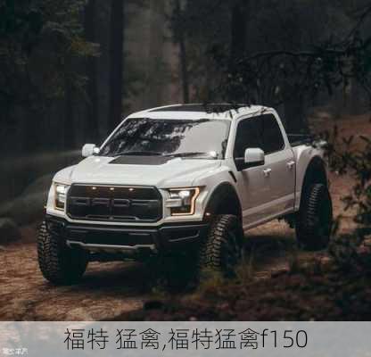 福特 猛禽,福特猛禽f150