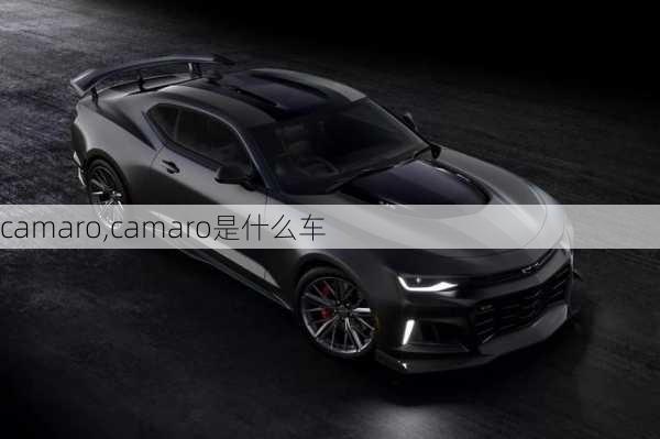 camaro,camaro是什么车