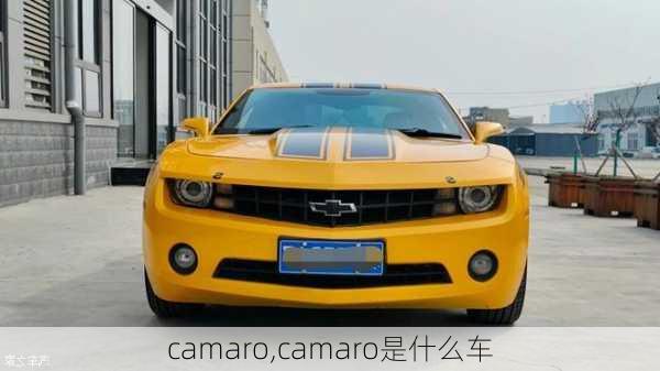 camaro,camaro是什么车