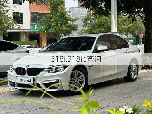 318i,318ip查询